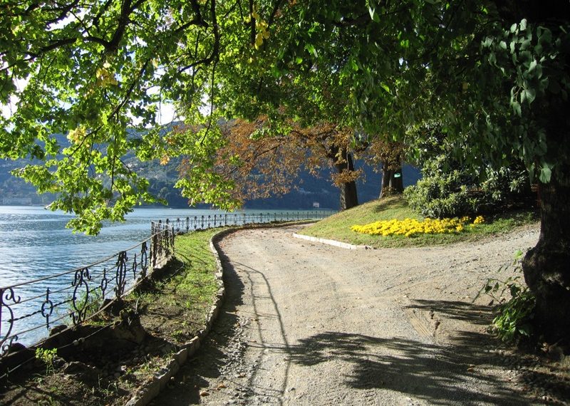 garden path next to the lake