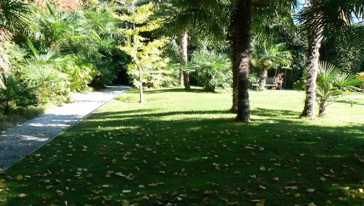 ample garden