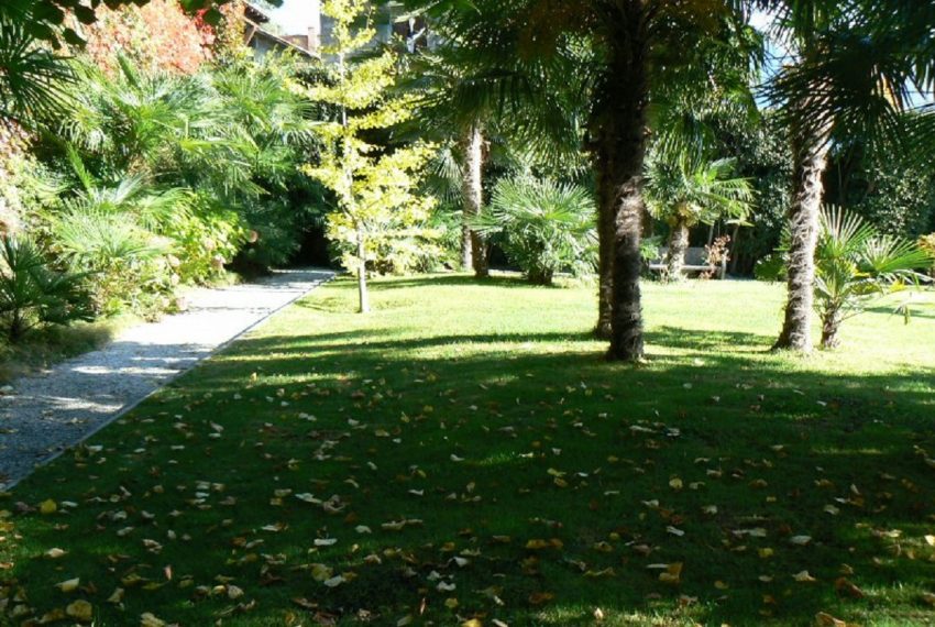 ample garden