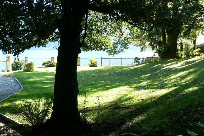 ample garden