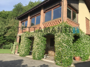 villa facade