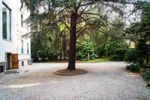 backyard parking spaces and garden