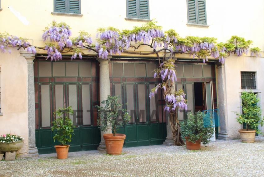 entrance door with blossom