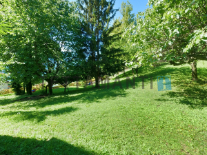 park