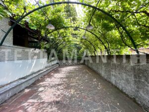Dizzasco Lake Como property