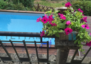 the pool
