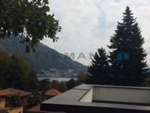 the view from the terrace
