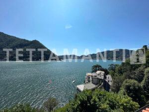COMO CITY VILLA WITH LAKE VIEW