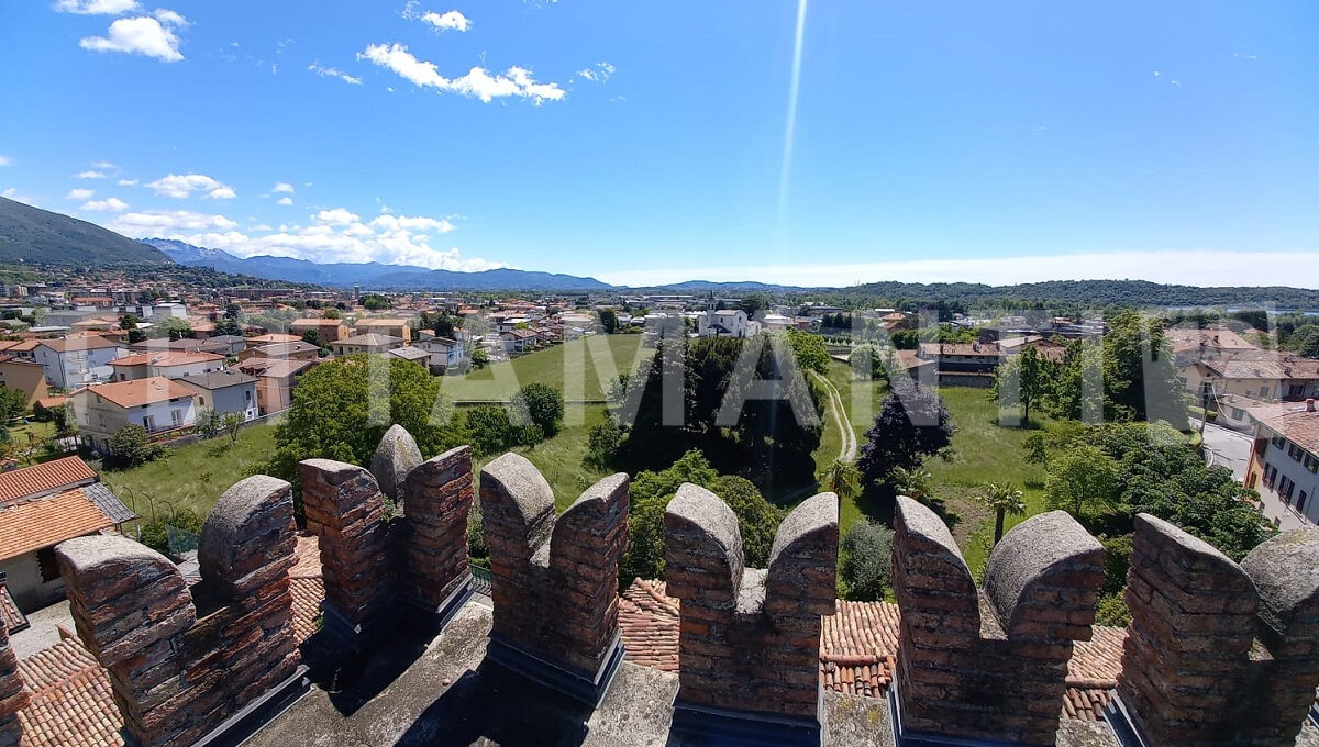 view from the tower