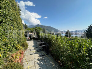 terrace lake view como