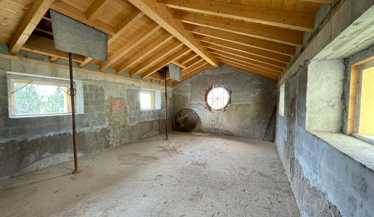 foto (6)